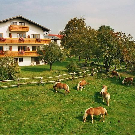 Biobauernhof Wolf-Hof Apartamento Pressbaum Exterior foto