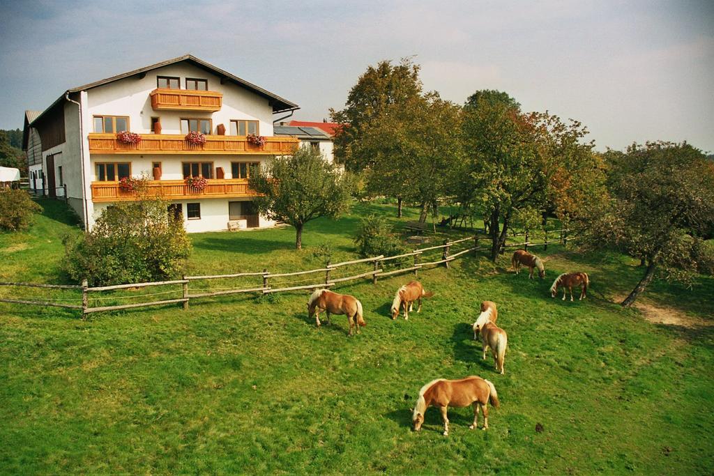 Biobauernhof Wolf-Hof Apartamento Pressbaum Exterior foto